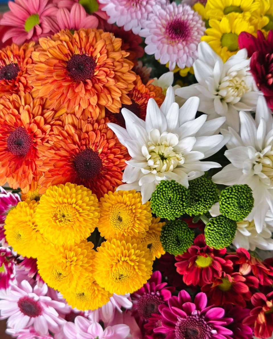 Flowers